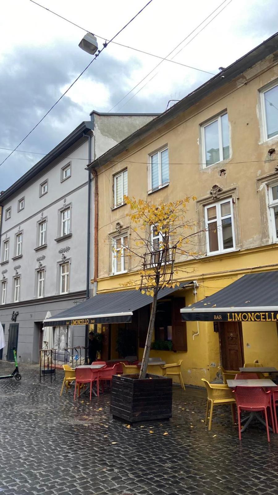 Apartments Of Lesya Ukrainka St. 25 Lviv Dış mekan fotoğraf